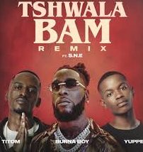 Tshwala Bam (feat. S.N.E) [Remix]