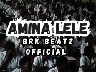 Brk Beatz - Amina Lele