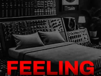 Rudeboy – Feelings